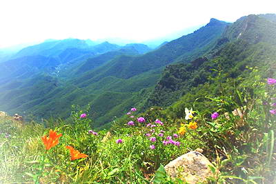 北京喇叭沟门原始森林公园