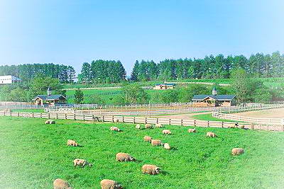 北京怀柔蓝天牧场