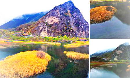 松坪沟芳草海