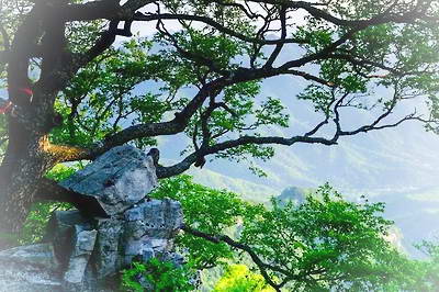 洛阳嵩县白云山
