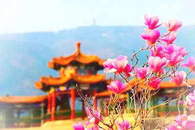 北京昌平蟒山森林公园
