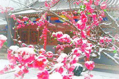 北京昌平蟒山森林公园