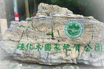 百里山水画廊硅化木景区