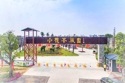 中山小榄荼薇园