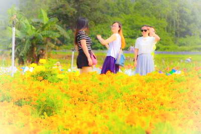 深圳鹏城花千谷