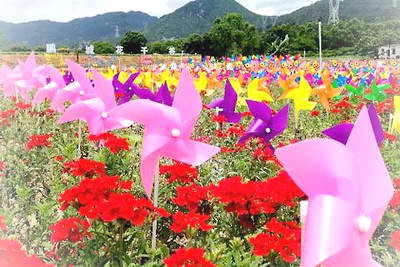 深圳鹏城花千谷