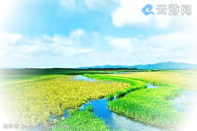 齐齐哈尔扎龙湖度假村