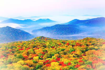 哈尔滨横头山森林公园