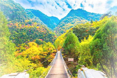 西安周至黑河国家森林公园