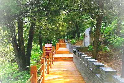 延安万花山景区