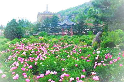 延安万花山景区