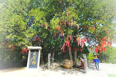 延安万花山景区