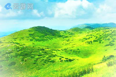 紫柏山高山草甸