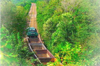 北京丰台区鹰山森林公园