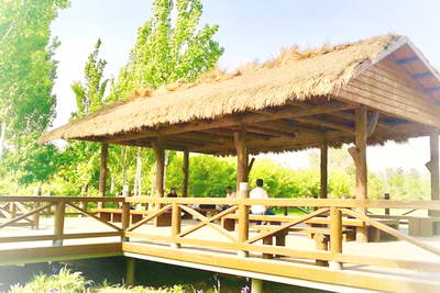 北京中关村森林公园