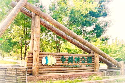 北京中关村森林公园