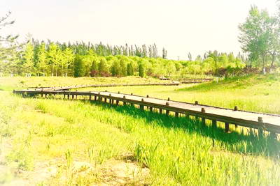 北京中关村森林公园