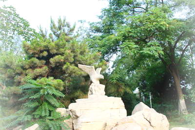 丰台鹰山森林公园