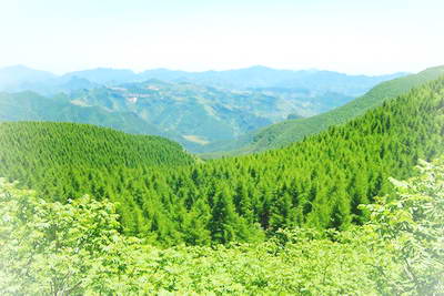 房山霞云岭国家森林公园