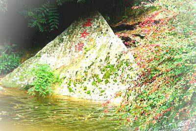 蓝田王顺山森林公园