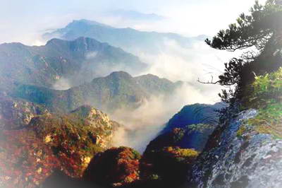 王顺山国家森林公园
