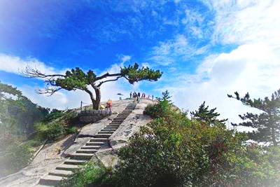 西安蓝田王顺山