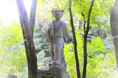 王顺山国家森林公园
