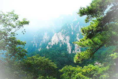 蓝田王顺山森林公园