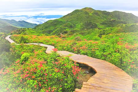 大围山七星岭景区