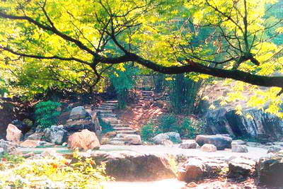 宁德寿宁南山景区