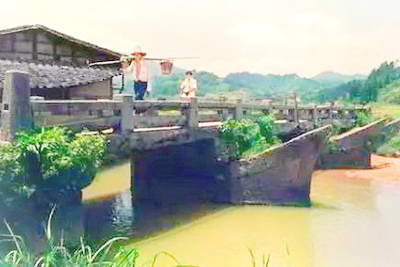 福鼎小白鹭村