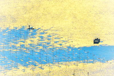 霞浦小皓村