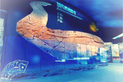 关岭古生物化石群公园