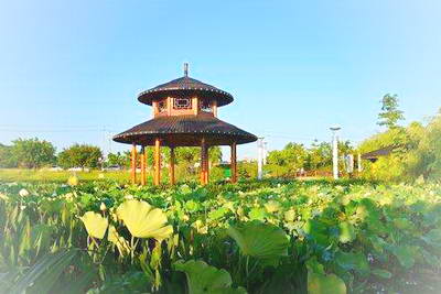 聚龙岛欢乐园