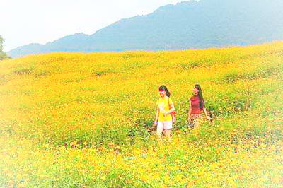 黄桷门奇彩梦园
