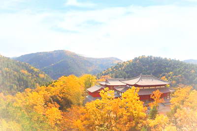 延安黄陵国家森林公园