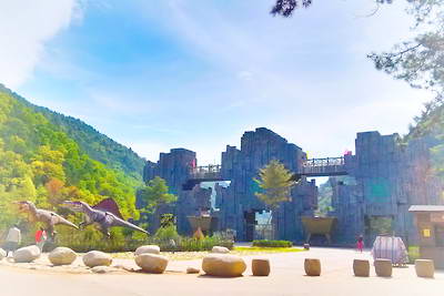 延安黄陵国家森林公园