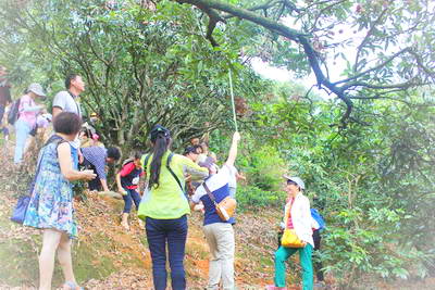 烟霞山不仅风景醉人，还有丰富的民俗文化，景区深入挖掘本土民俗文化特色