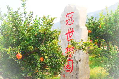 枣庄冠世榴园风景区