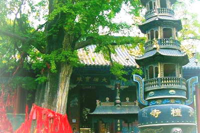 枣庄冠世榴园风景区