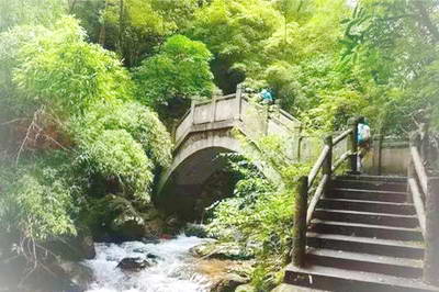 靖安白水洞森林公园