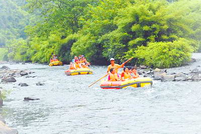 吉安井冈楠木林漂流