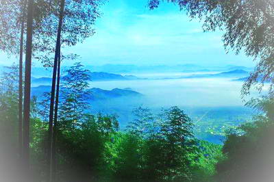 赣州崇义阳岭森林公园