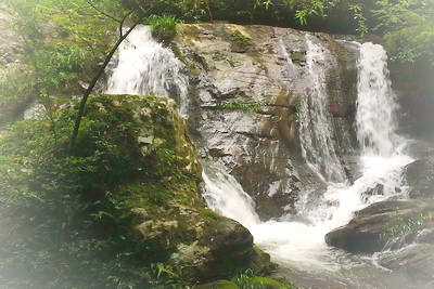 赣州崇义阳岭森林公园