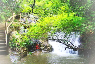 赣州崇义阳岭森林公园
