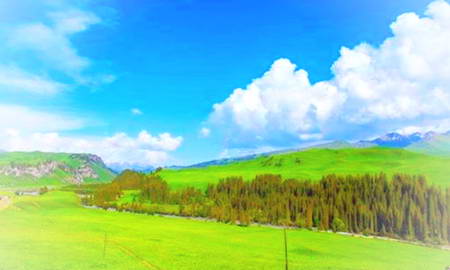 伊犁唐布拉草原景区