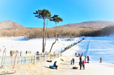 吉林市五家山森林公园
