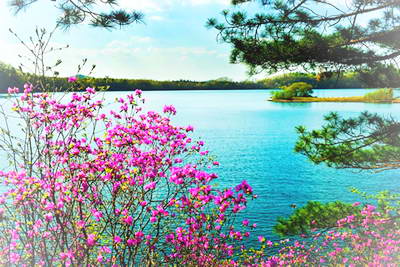 三角龙湾