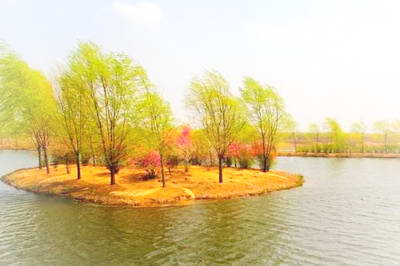 沈阳鸟岛公园