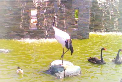 沈阳鸟岛公园